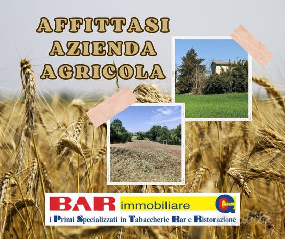 Rif. BOM511/24 - Azienda agricola