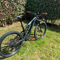 Specialized ebike