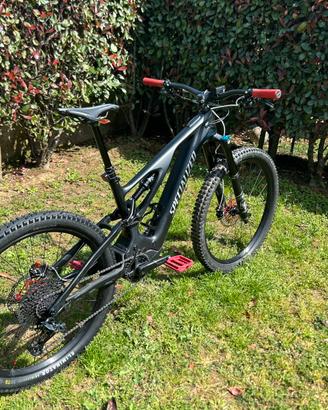 Specialized ebike