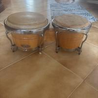 bongos tempo