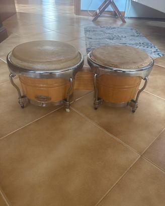 bongos tempo