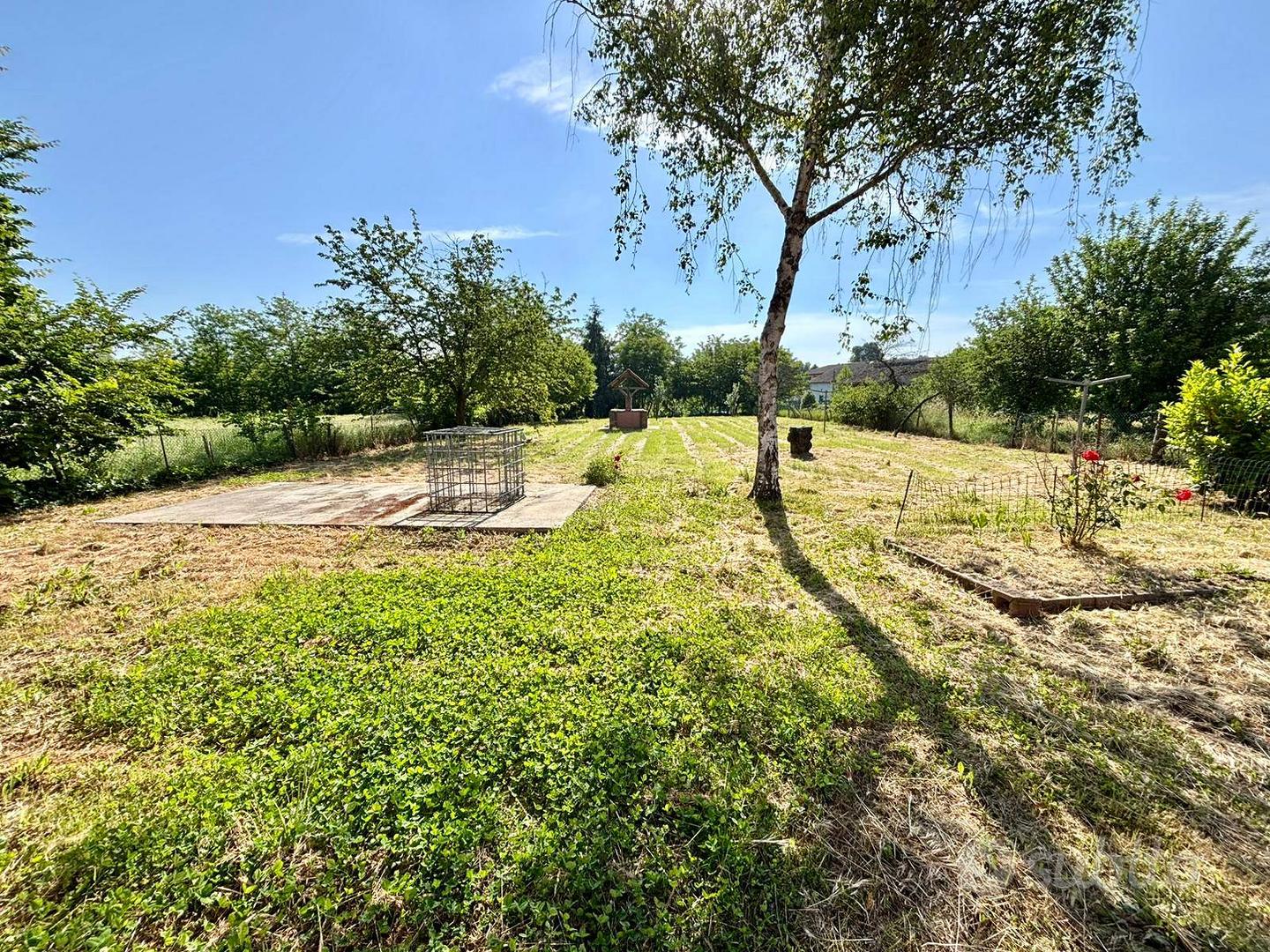 Casa – Alessandria, Villa del Foro - Vista 4