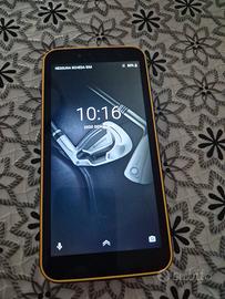 Cellulare Blackview Bv5500 