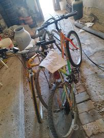 bici da restaurare