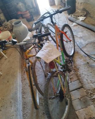 bici da restaurare