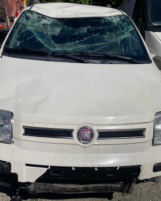 ZANONI FIAT Panda 3° Serie PANDA 169A4000 Benzina