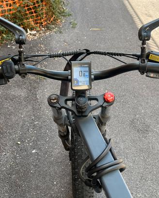 Bici elettrica