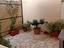 Immagine 10