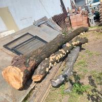 Ciliegio tronchi vari