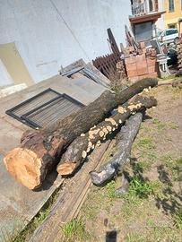 Ciliegio tronchi vari