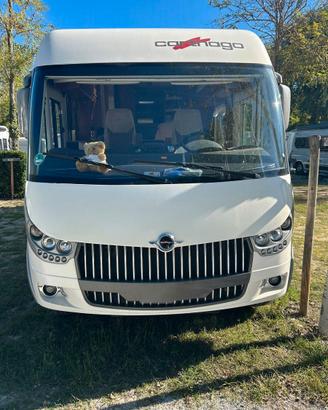 Chic C Line 4.9 SUPERIOR LE
