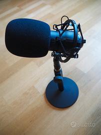 Microfono Liam & Daan da studio 