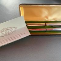 Penna stilografica Waterman e biro cross argento