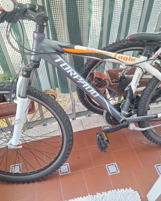 Bici Torpado Eagle