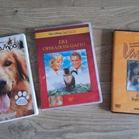 Tre DVD con storie di animali (per famiglie)