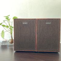 Sony Stereo
