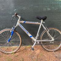 Bicicletta Logan
