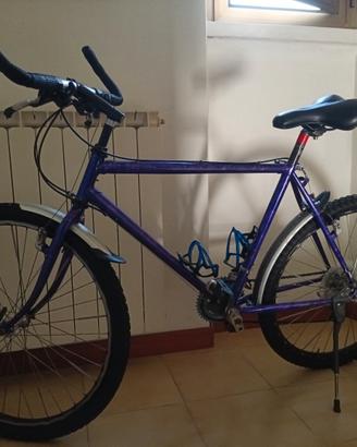Bici Mountain bike viola
