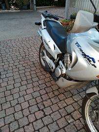 transalp 650