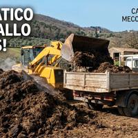  Stallatico di cavallo (LETAME) omaggio 