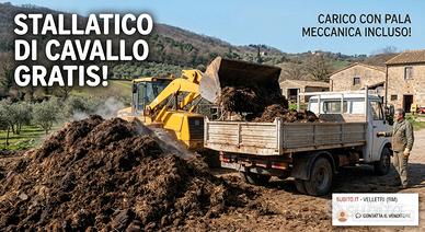  Stallatico di cavallo (LETAME) omaggio 