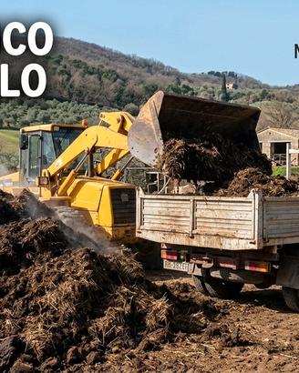  Stallatico di cavallo (LETAME) omaggio 