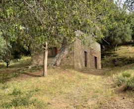 Bosco, terreno con sorgente, Dolianova S.Nicolò