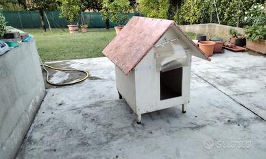 cuccia per cane