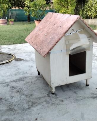 cuccia per cane