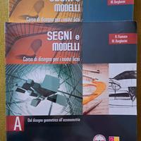 Segni e modelli, Corso di disegno per i nuovi lic.