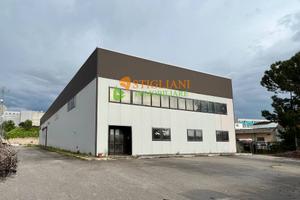 Capannone, Contrada Colle delle Api - Campobasso