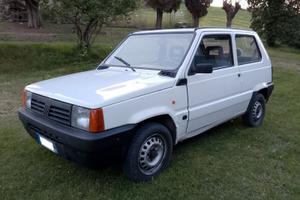 Panda 900 Young Anno 2000