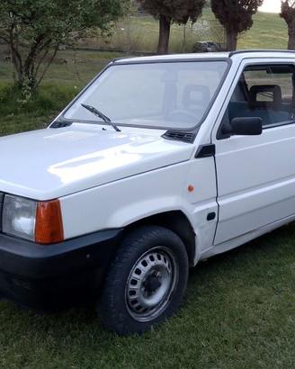 Panda 900 Young Anno 2000