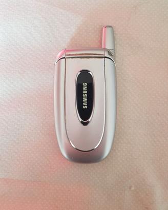 Samsung sgh-x450