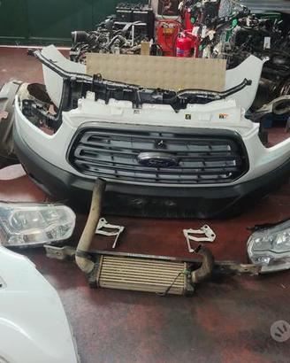 Musata ford transit anno 2016