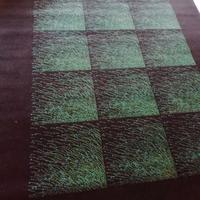 Tappeto verde