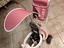 Immagine 2