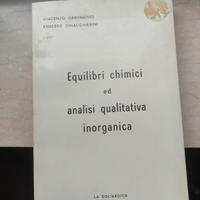 Carunchio Chiacchierini, Equilibri chimici ed anal