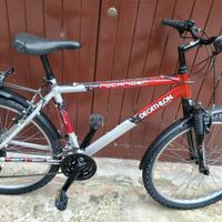 BICICLETTA MOUNTAIN BIKE