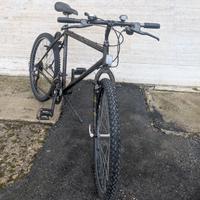 Mountain Bike Trubbiani (Ritiro a mano)