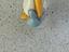 Immagine 1
