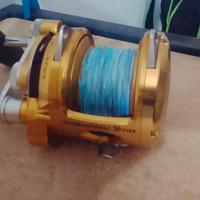 mulinello penn international 20 VISX