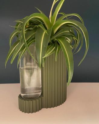 🌿 Vaso auto-irrigante

