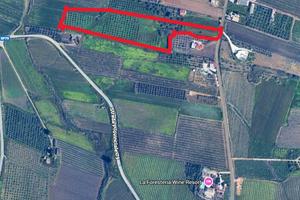 Terreno edificabile vista mare