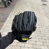 guantoni baseball e pallina