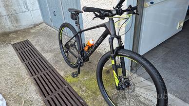mtb focus raven  in carbonio 