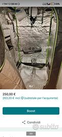 growbox 