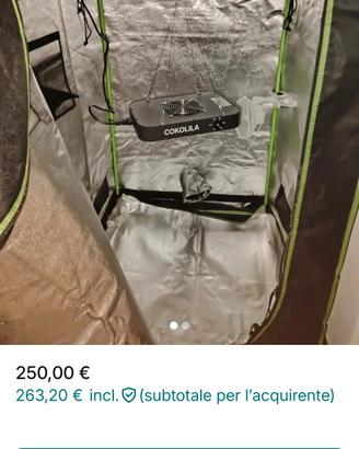 growbox 