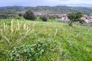 Rif.RI84| area edificabile settingiano