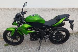 Kawasaki Z 250